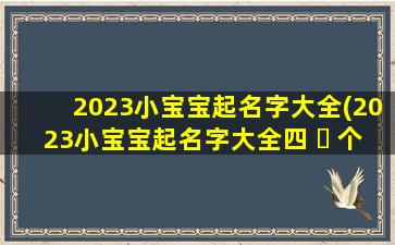 2023小宝宝起名字大全(2023小宝宝起名字大全四 ☘ 个字)